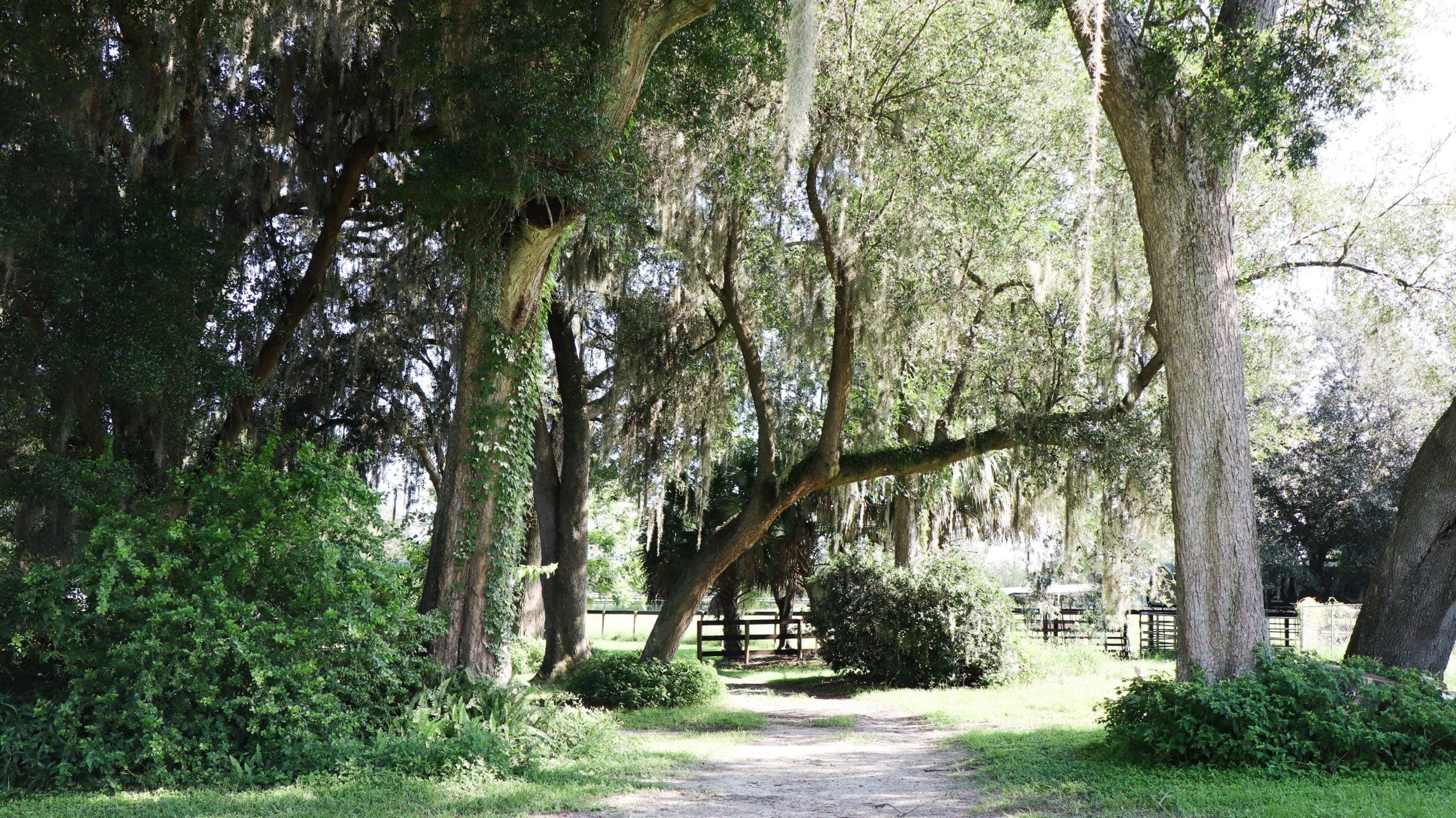 Horse layup and rehabilitation facilities at Legacy Farm near Ocala FL
